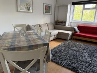 Beautiful flat in Brixton close to city center - 9