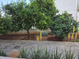 Ground floor Apt with a garden view - 6