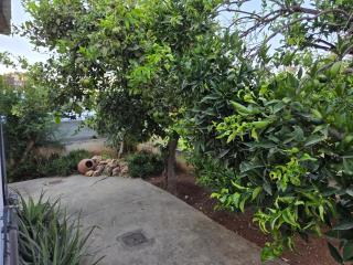Ground floor Apt with a garden view - 4