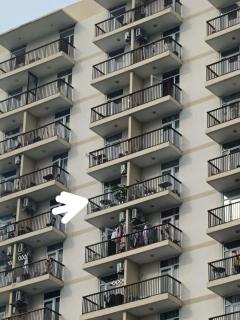 Condo in Lapu Lapu -A Great Place to Stay in Lapu Lapu City Cebu - 9