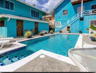 Restorations Tobago - Shin Nest - 5