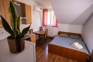 Brezov Kot Apartment - 1