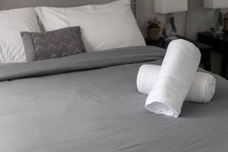 Cozy Downtown 2BR Suite near CN Tower with Balcony - 1