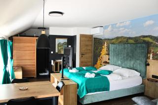 Apartmaji s Savnami - Wellness Gobi - 3