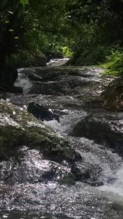 Private 3BHK Villa near Munnar, Bisonvalley - 9