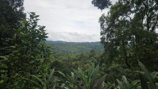 Private 3BHK Villa near Munnar, Bisonvalley - 5