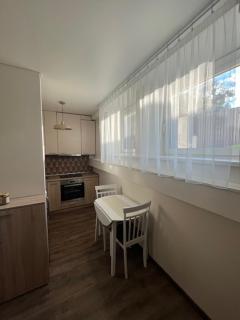 Apartamentai Kauno centre - 0