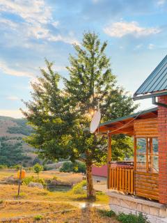 Village house Gutovic - 9
