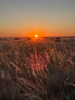 Opiklip Wild Camping - 7