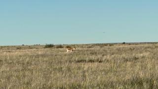 Opiklip Wild Camping - 2