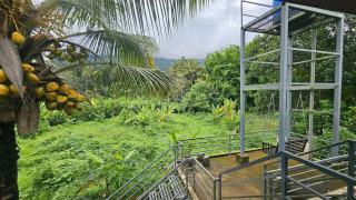 Mountain View Stay Near Munnar, BisonValley - 4