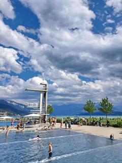Carmen Alpine View - Thoune - 9