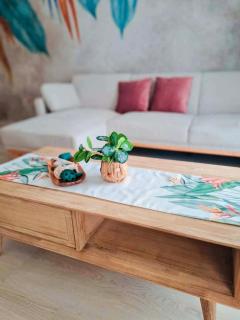 Beautiful apartment TIMIR201 - 7