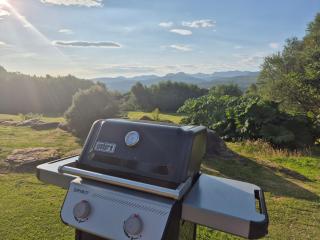 Misty Bay - Kenmare - 8