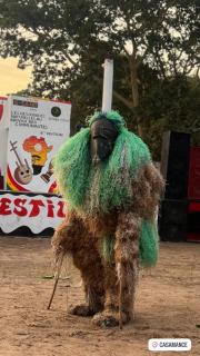 SEN-CASA- TOURiSME - 3