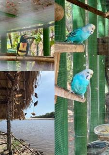 Jardin Secreto - 5
