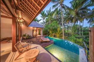 Daya Villa Ubud - 2BR Jungle View With Private Pool - Bike access only - 2
