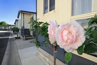 Apollo Bay Holiday Park - Apollo Bay - 3