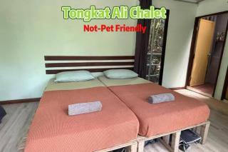 Gibbon Retreat Bentong - 2