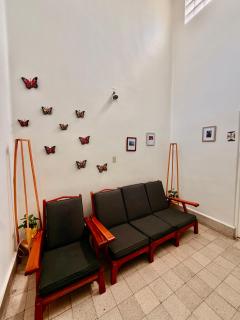 Bears house condesa-roma norte - 7