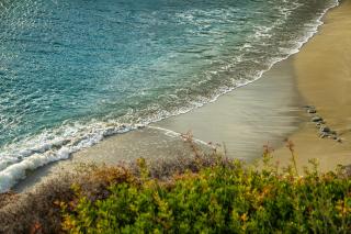 SeaHugs Beachfront Studio - 4