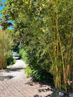 Pia's Nature Retreat - Neukirch - 8