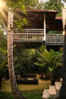 Wooden Nest Homestay - 6