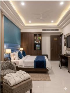 Hotel Banana Tree & Banquets, Sahibabad - 4