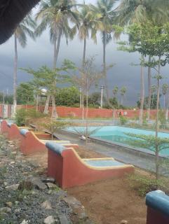 Mandarai - 6