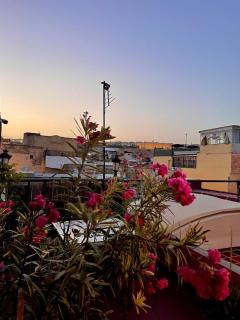 Riad Scorpions - 3