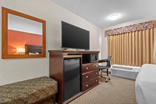 Comfort Inn & Suites Airport South - 1
