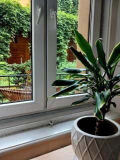 Apartamenty Stare Miasto Dziedziniec - 1
