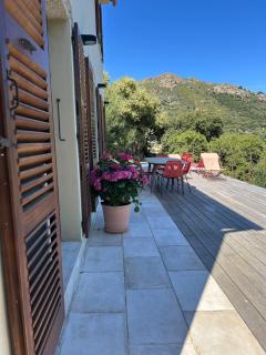 Casa di l’alivi - 8