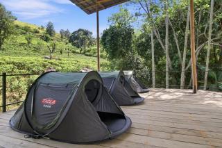 Jungle Nest Ella - 1