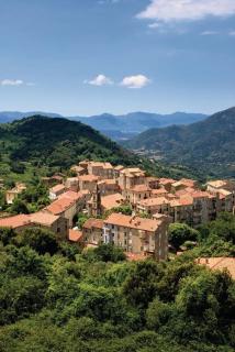 Appartement au coeur des oliviers - 2