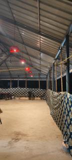 New Sun and Sand Resort - 1