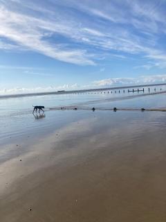 2 bed chalet Greatstone, New Romney sands holiday village 2mins from beach - 7