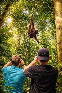 Trek Sumatra Orangutan Lodge - 1
