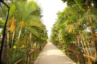 Narayani Vista - 7
