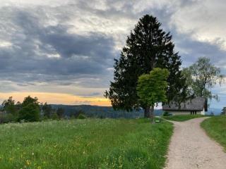 Haus Hanni - 5