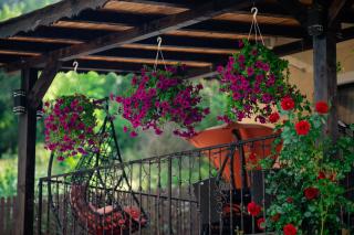 Sapphire Chalet - Moieciu de sus - 4