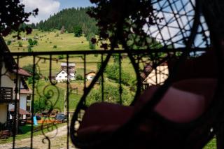 Sapphire Chalet - Moieciu de sus - 3
