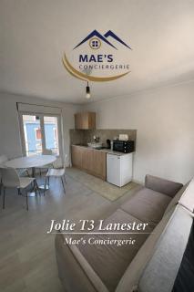 T3 Idéal Familles et Pros , Jardin et Espace Repas - 0