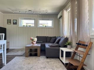 Homey apartment near Gol Town Center - 9