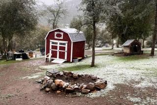 Cozy Tiny House on a 72-Acre Animal Sanctuary in Squaw Valley, California - 3