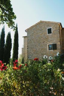 L'Abbraccio della Quercia - Suites - 8