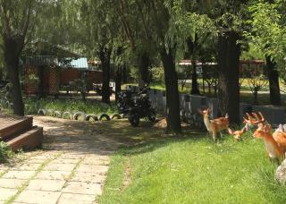 Country Villa Near Mutianyu - 7