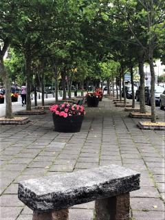 Dunboyne Apartment - 5
