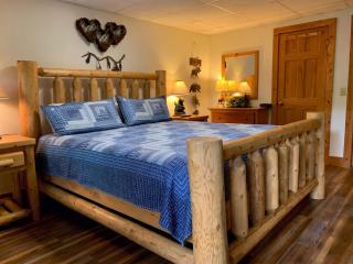 ER65 - Eagles Point - Great location, Close to all the action! cabin - 1