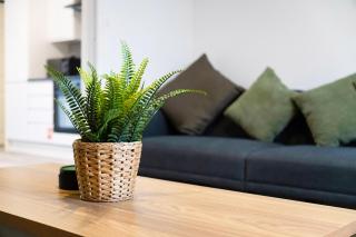 Cosy 2BR Apartment Sleeps 4 by Stay With Us - 3